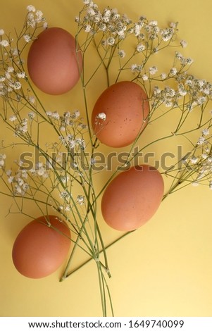 Free range eggs and gypsophila flowers on bright yellow background. Top view.