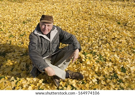 The senior man sitting in autumn ginkgo biloba foliage.