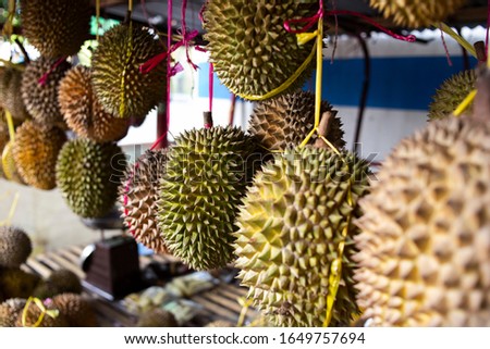 Group of fresh durians in the durian market. Royalty-Free Stock Photo #1649757694