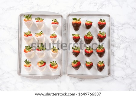 Flat lay. Organic strawberries dipped in chocolate drying on a parchment paper.