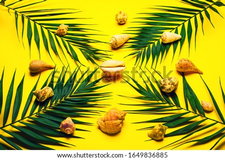 Flat lay traveler accessories with palm leaf, seashells . Top view travel or vacation concept. Summer background. Toned
