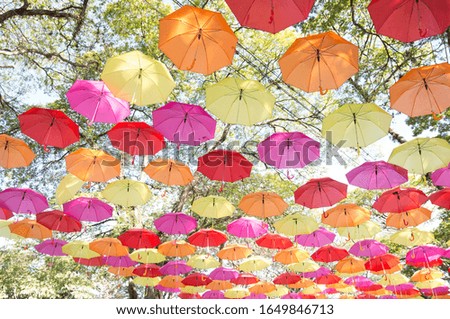 Colorful umbrellas trip art tourism
