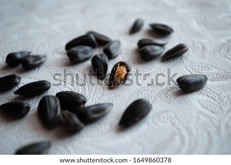 Close-up of sunflower seeds on the table. 