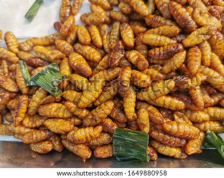 fried silk worm. street food in Thailand.