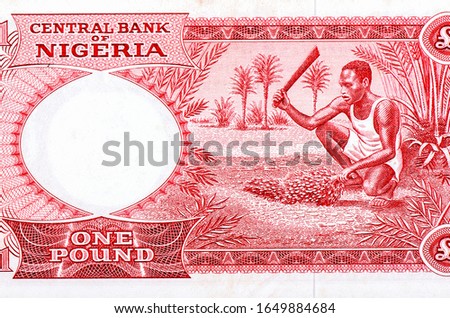 Man harvesting dates. Portrait from Federal Republic of Nigeria 1 Pound 1965 Banknotes. 