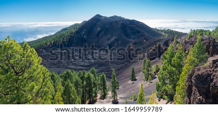 Panoramic landscape with lush green pine trees, colorful volcanoes and lava crater Deseada along path Ruta de los Volcanes, hiking trail at La Palma island, Canary Islands, Spain, Blue sky background