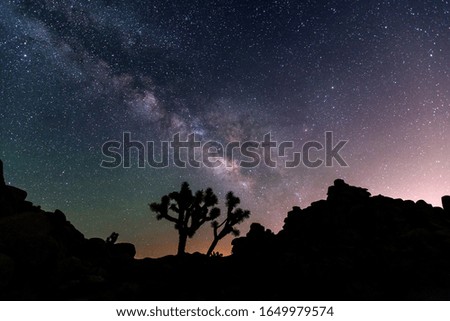 Night landscape with Milky Way galaxy in California. 