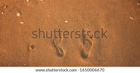 summer wallpaper concept foot print on sand background texture beach ground outside picture poster with empty copy space for your text here  