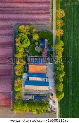 Stunning Aerial View of Colorful Tulip Fields in Dronten, Netherlands - A Springtime Marvel