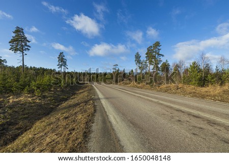 Amazing view over spring forest with green trees on blue sky with white clouds background. Green yellow trees and road. Gorgeous nature backgrounds. 