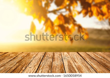 Empty Wooden Planks for Products Display with Blurred Autumn Background - Golden Leaves on Branches and Bright Sun