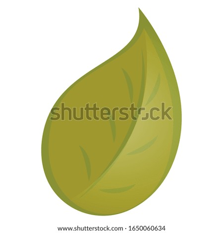 Isolated leaf image over a white background - Vector