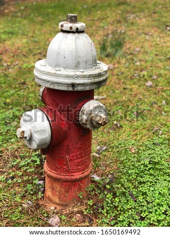 Red and silver corroded rusty fire hydrant set against a moist green ground cover of clover grass.