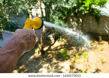 Watering plants with water hose in the beautiful garden. Nature love, taking care, refreshment concept in bright summer. Fresh air. Male pouring water to flowers and grass.