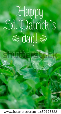 Text Happy Saint Patricks Day shiny green clover ornament. Green clover leaves with drops of dew or rain close up. St. Patrick's Concept. Vertical orientation