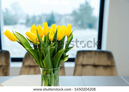 yellow tulips,yellow tulips stand in a vase of water on the kitchen table with the background on the window,flowers for the holiday of women on March eighth,tulips in a vase,present to a girl