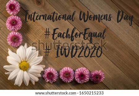 International Womens Day concept on wooden board with pink purple chrysanthemums flower border flat lay