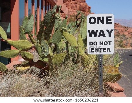One way sign next to a cactus.the image was taken in Death Valley national Park California