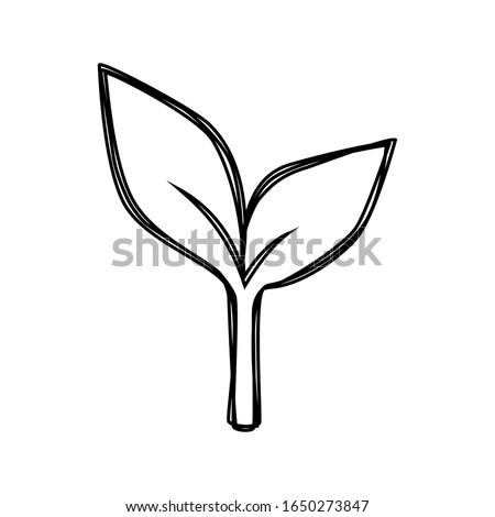 Vector line art illustration of sprout. The universal ecology, nature symbol. Eco icon isolated on white background