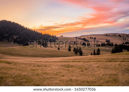 Beautiful view on the mountain, spring time, forest, hill