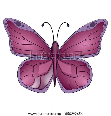 Isolated purple butterfly. Beautiful insect - Vector illustration
