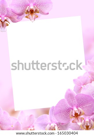 Beautiful pink orchids greeting card with blank space for text