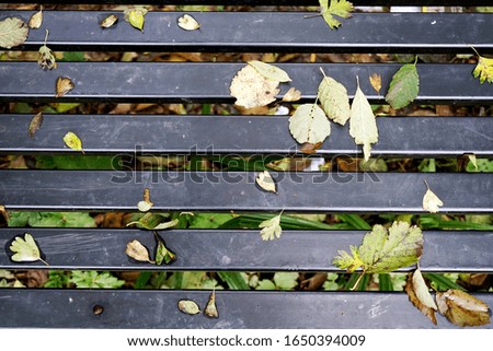 Background of black bench in the park with falling leaves in autumb