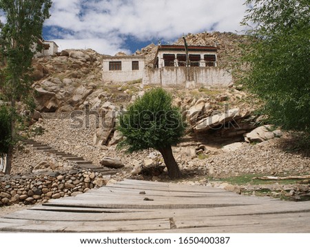 single willow tree growing in the middle way of wooden pathway with traditional buildings on hill behind