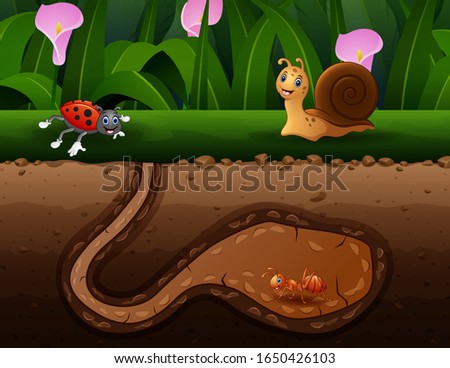 Background scene with insects in the ground