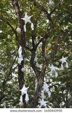 Tree with leaves and Christmas lanterns hang in Antipolo, Philippines