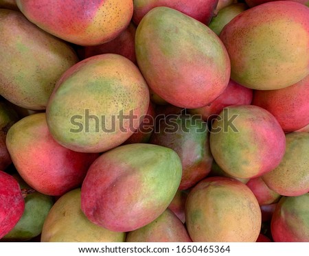 Atkins mangos on a supermarket display.  Royalty-Free Stock Photo #1650465364