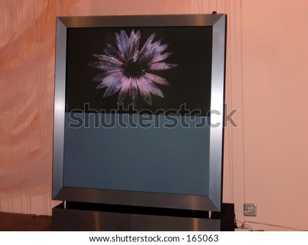 Flower in TV-set