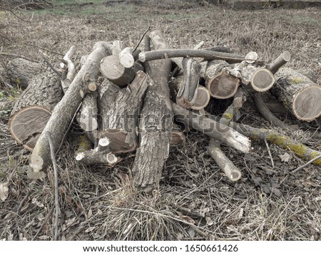 Firewood is a big pile for a fire