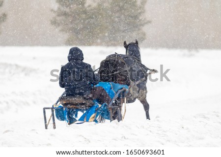 A man on a horse-drawn sleigh, a winter snowstorm, a snowy winter landscape.