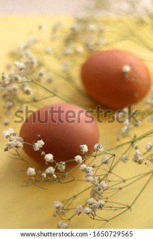 Free range eggs and gypsophila flowers on bright yellow background. Selective focus.