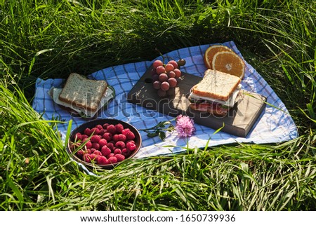 Romantic picnic in the village on the nature. Sandwiches, berries, cheese and fruits for breakfast. Sandwich with onions, cheese, cucumber, tomato and meat.