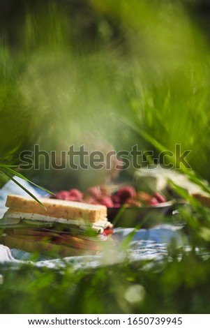 Romantic picnic in the village on the nature. Sandwiches, berries, cheese and fruits for breakfast. Sandwich with onions, cheese, cucumber, tomato and meat. Soft focus.