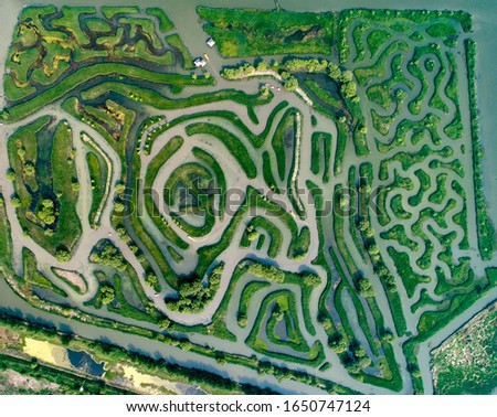 Aerial photo of reed maze in Dazhong lake, Yancheng City, Jiangsu Province, China