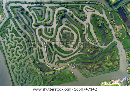 Aerial photo of reed maze in Dazhong lake, Yancheng City, Jiangsu Province, China