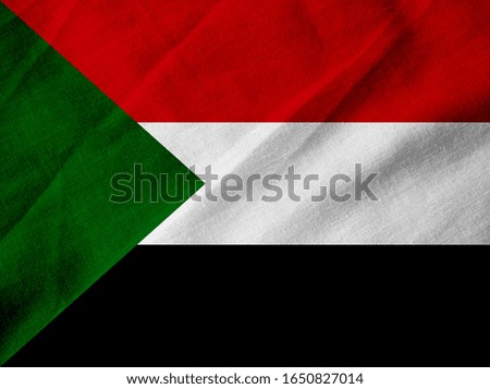 Flag of Sudan on canvas creased fabric background.