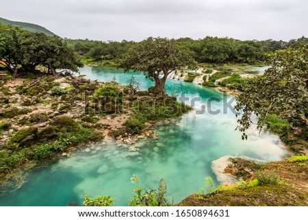 In and around salalah during monsoon, oman Royalty-Free Stock Photo #1650894631