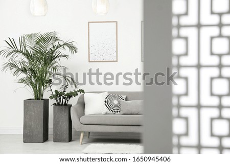 Beautiful potted plants in modern living room