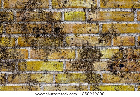 Detailed close up view on aged and weathered brick walls with cracks