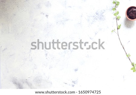 Spring, new growth, Easter, green thumb, gardening, new beginning concept pastel yellow image with copy space