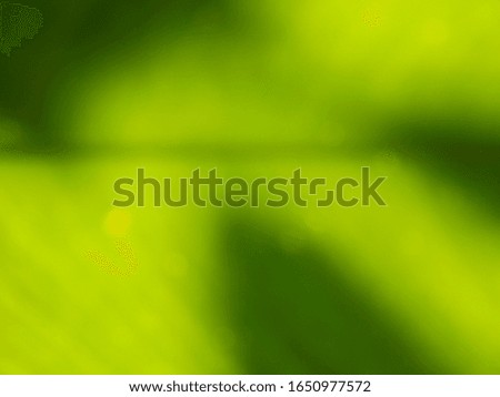 green fresh abstract blur background