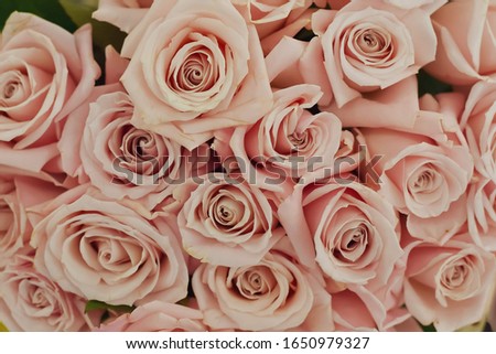 Set of bouquet of pink rose background