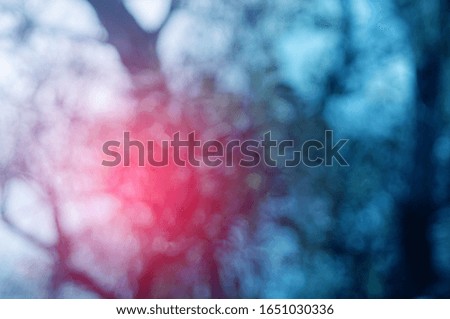 Light blue leaf background. Leaf blurred. The bokeh circle from the leaves with light shining through. Concept green world. Abstract background and nature backdrop.