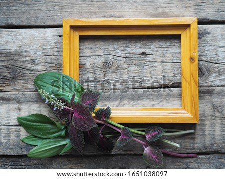 Empty picture frame and a bouquet of red coleus flower and green leaves on an ancient wooden background. A place for writing and text.