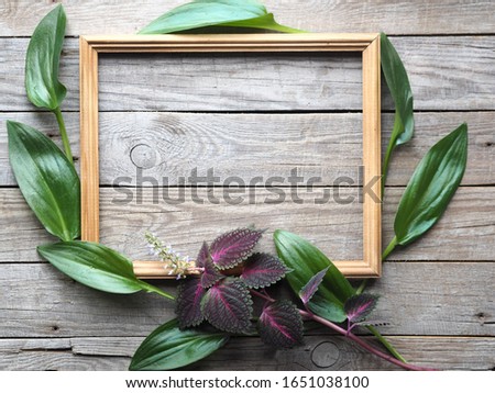 Empty picture frame and a bouquet of red coleus flower and green leaves on an ancient wooden background. A place for writing and text.