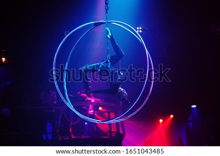Flexible young woman make performance on aerial hoop, flexible back on aerial hoop, aerial circus show, blue and red light. Flexible woman gymnast upside down on hoop. 
Cat costume
